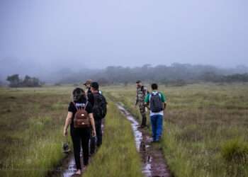 Flona Carajás: escala diferenciada garante acesso durante o mês de férias