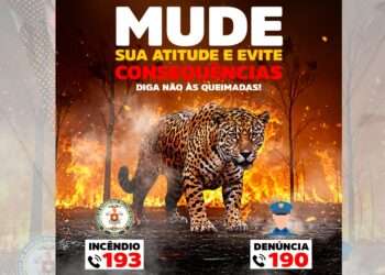 Parauapebas cria comitê integrado para prevenir e combater queimadas e incêndios