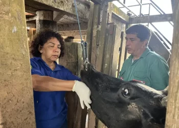 PSS da Adepará abre inscrições nesta segunda-feira (18) até quarta-feira (20)