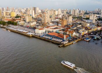 COP30: OEI abre três seleções para apoio à sustentabilidade; inscrições até 31/8