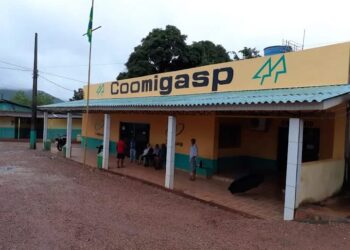 COOMIGASP convoca associados para eleição dos Conselhos de Administração e Fiscal