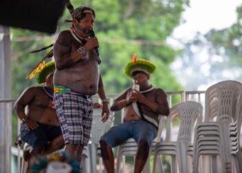 Alepa aprova Projeto de Lei que declara de Utilidade Pública o Instituto Indígena Botxiê Xikrin