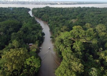 Equatorial Pará moderniza rede elétrica da Ilha do Combu e impulsiona desenvolvimento e turismo na região