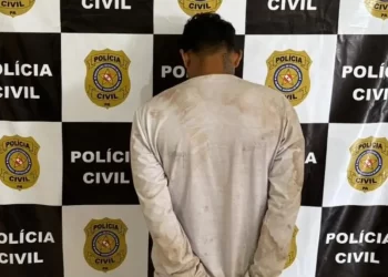 Forças de segurança prendem 11 integrantes de organização criminosa no Pará, Maranhão e Santa Catarina