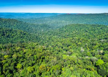 Vale está presente na COP30 para compartilhar soluções e discutir caminhos que levem a avanços na agenda climática