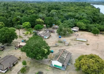 Novas unidades de conservação municipais impulsionam economia e sustentabilidade