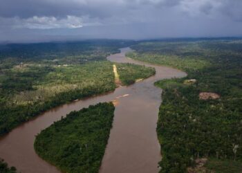 Governo do Brasil alcança 9 mil operações e garimpo ilegal tem queda de 98,77% na Terra Yanomami