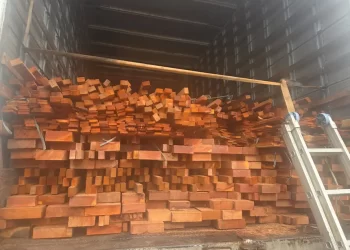 Sefa apreende 150 portais de madeira vermelha em Cachoeira do Piriá