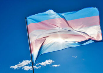 Dia da Visibilidade Trans: MPF cobra inclusão de mães trans e travestis no programa de CNH gratuita no Pará