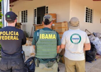 PF, Inema e Ibama desarticulam ponto de beneficiamento ilegal de barbatanas de tubarão na Bahia