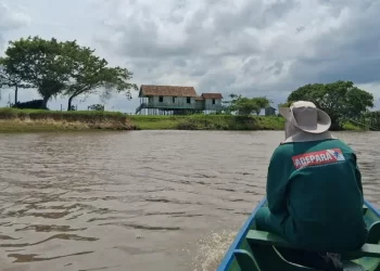 Parceria entre produtores e Adepará fortalece combate à raiva animal no arquipélago do Marajó