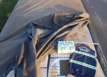 Sefa apreende 4.300 caixas de bebida alcoólica gaseificada