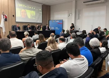 Governo do Pará começa a estruturar ambiente econômico de Irituia