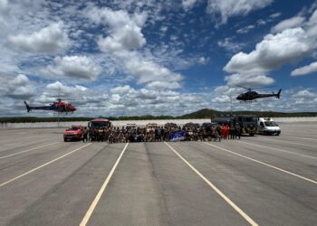 PF destrói mais de 576 mil pés de maconha na região de Salgueiro/PE