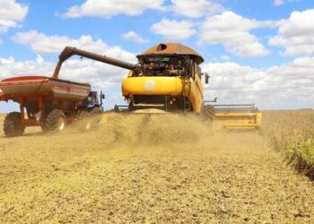 Produção da soja tem previsão de novo recorde na série histórica em 2026