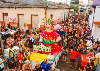 Governo do Pará amplia rede de profilaxia e cuidados para o Carnaval 2026