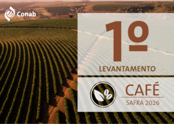 Conab: produção de café deve crescer 17% e bater recorde em 2026