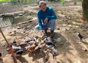 Terra Yanomami: unidade para soberania alimentar produz alimento onde antes havia garimpo