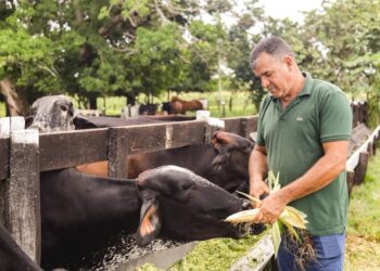 Produtor prospera com programa Bacia Leiteira, iniciativa da prefeitura de Canaã