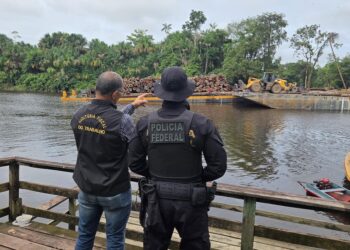 PF e AFT realizam fiscalização em área de manejo florestal em Mazagão