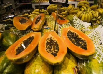 Preços das frutas mais vendidas têm queda nos mercados atacadistas, mostra Conab