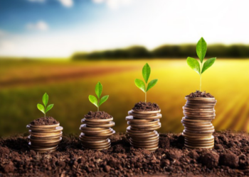 Crédito rural empresarial cresce 7% no Plano Safra e totaliza R$ 354,4 bilhões