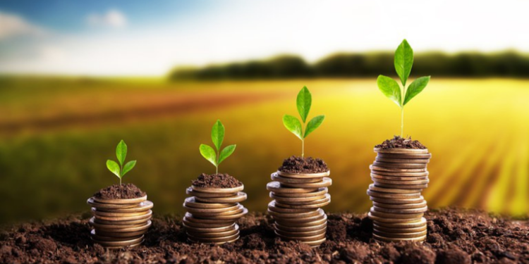 Crédito rural empresarial cresce 7% no Plano Safra e totaliza R$ 354,4 bilhões