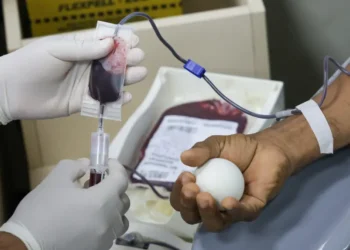 Mobilização da hemorrede do Hemopa garante suporte transfusional para mais de 2,8 mil pessoas em dois dias