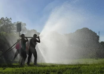 Semas publica edital de processo seletivo para contratação de 112 brigadistas florestais