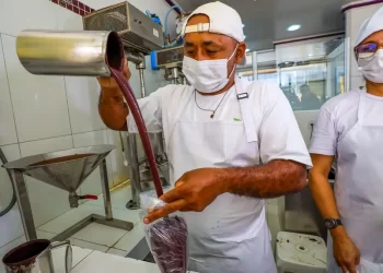 Estudo da Fapespa revela que Pará detém 93,8% do valor da produção nacional de açaí