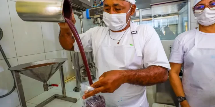 Estudo da Fapespa revela que Pará detém 93,8% do valor da produção nacional de açaí