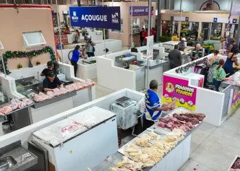 Governo do Pará entrega mais de 30 novos complexos, mercados e feiras no Pará