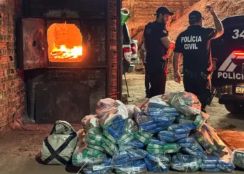 Polícia Civil do Pará incinera mais de uma tonelada de drogas em Castanhal