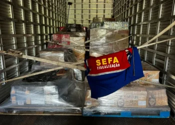 Sefa apreende mais de 6 mil garrafas de bebidas e 19 m3 de madeira