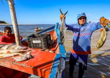 Governo do Estado impulsiona Feiras do Pescado durante Semana Santa no Pará