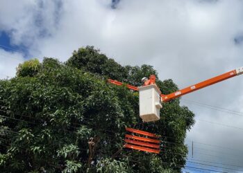 Mais de 30 mil clientes recebem manutenção na rede elétrica do município de Parauapebas
