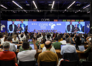 Brasil assume presidência da COP 15 com agenda histórica para conservação de espécies migratórias