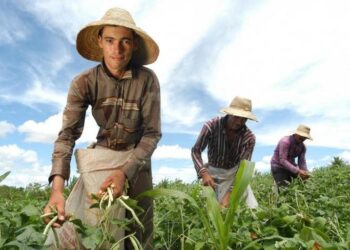 Agricultor familiar não sofrerá impactos referentes ao recolhimento de previdência rural