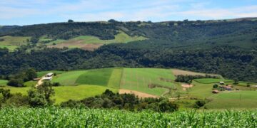 Mais de 1,6 mil famílias de comunidades quilombolas do MA são incluídas no Programa de Reforma Agrária