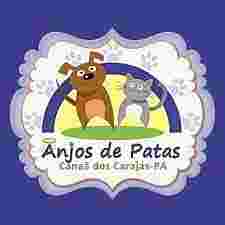 ANJOS DE PATAS CANAÃ: UMA DÉCADA DE AMOR, RESGATE E COMPROMISSO COM A VIDA ANIMAL