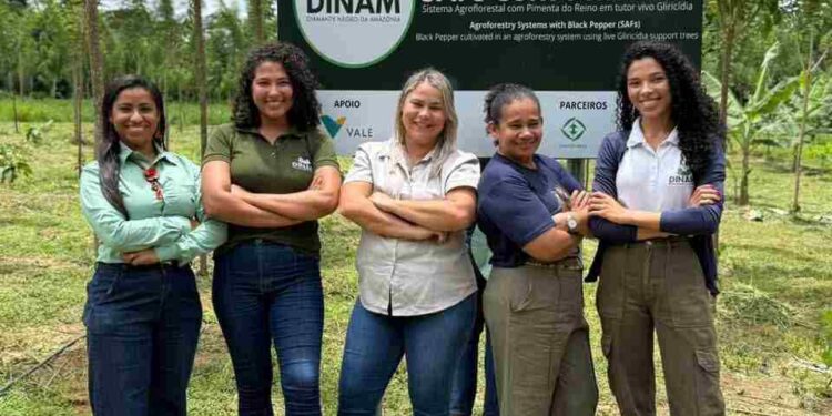 Mulheres empreendem e conquistam autonomia financeira