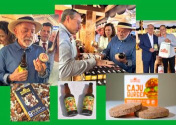 Agricultura familiar da Bahia leva inovação à Feira Brasil na Mesa, em Brasília