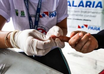 Sespa reforça alerta para o combate ao mosquito transmissor da malária