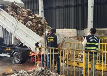 Adepará inutiliza mais de 9 toneladas de pescado irregular durante Operação Semana Santa
