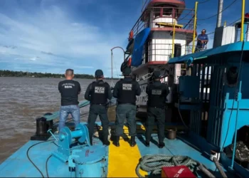 Sefa apreende 78.372 garrafas de bebidas alcoólicas em Serra do Cachimbo 