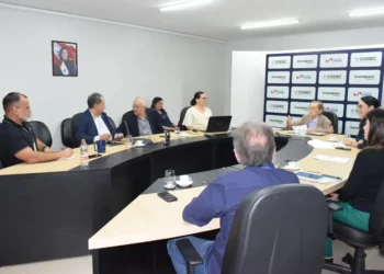 Codec amplia agenda estratégica para o desenvolvimento econômico do Estado do Pará