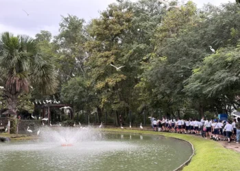 Mais de 140 crianças atendidas em programa da FAB visitam o Mangal das Garças
