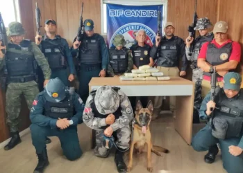 Agentes da Base Candiru apreendem mais de 10 kg de droga em embarcação que seguia para Santarém