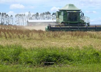 PIB do Pará cresce acima da média nacional no quarto trimestre de 2025