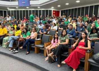 11ª Sessão Ordinária tem dois projetos de indicação voltados à infraestrutura urbana